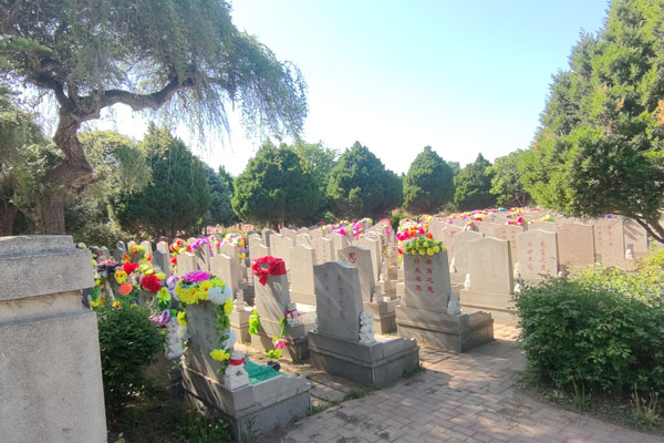 沈阳墓园花圈：生命的礼赞与情感的寄托