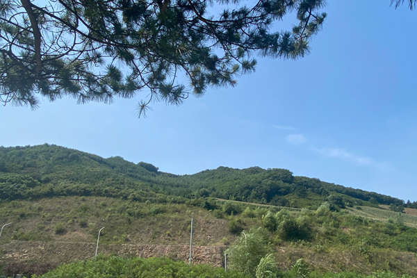 沈阳墓园建造在山里需要注意的几点事项